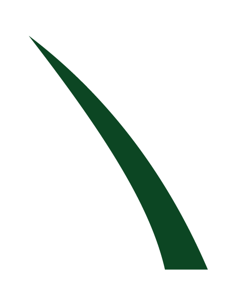 Groen-Techniek_Logo Grasspriet 300ppi